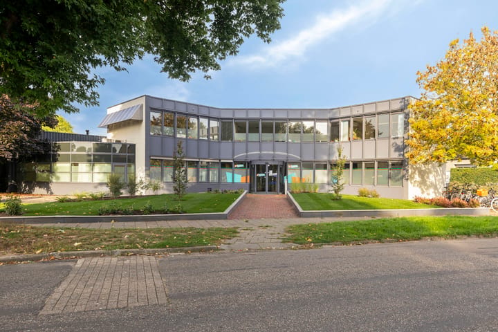 Zonnebloemveld 1