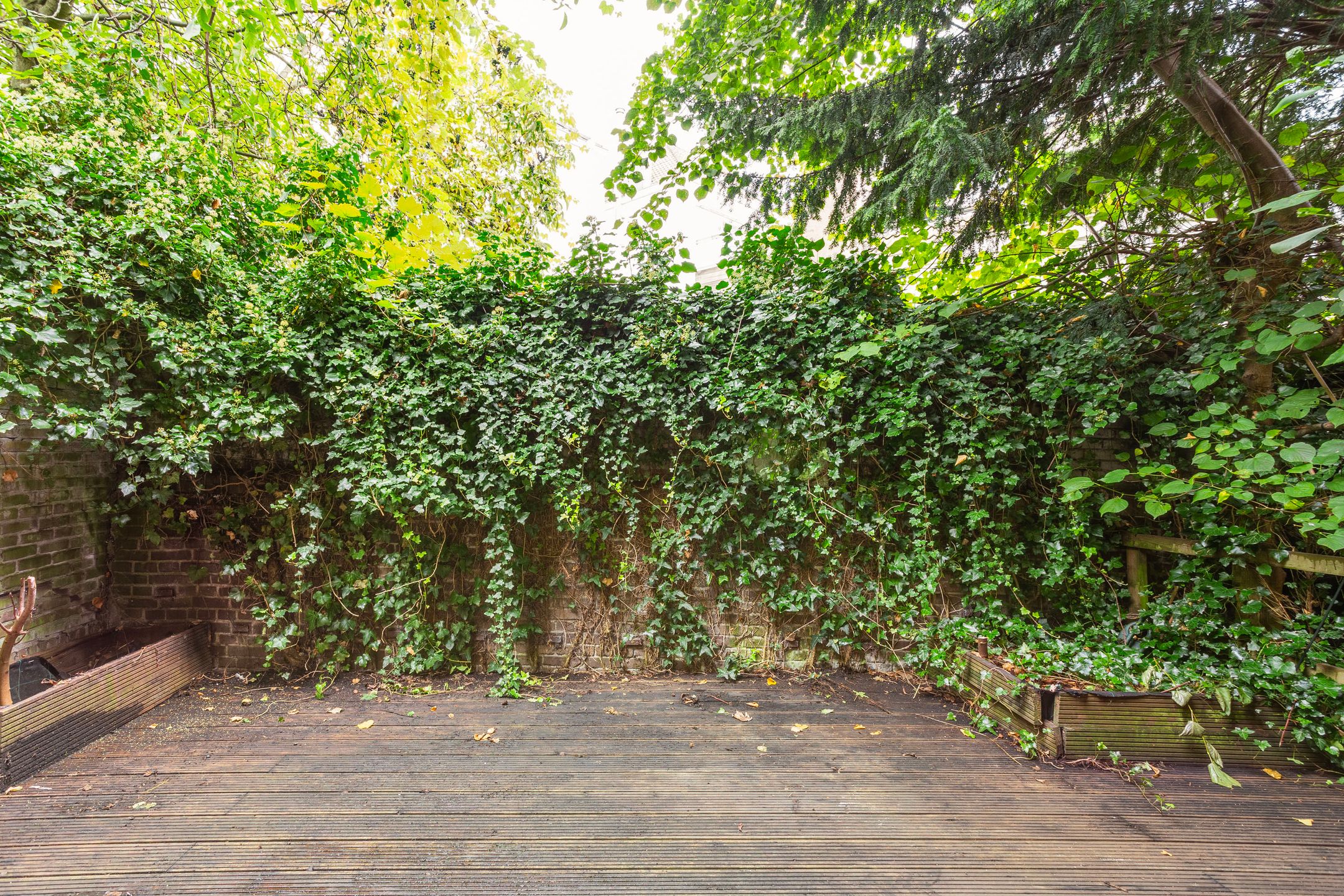 Photo 12 of Singelstraat 17