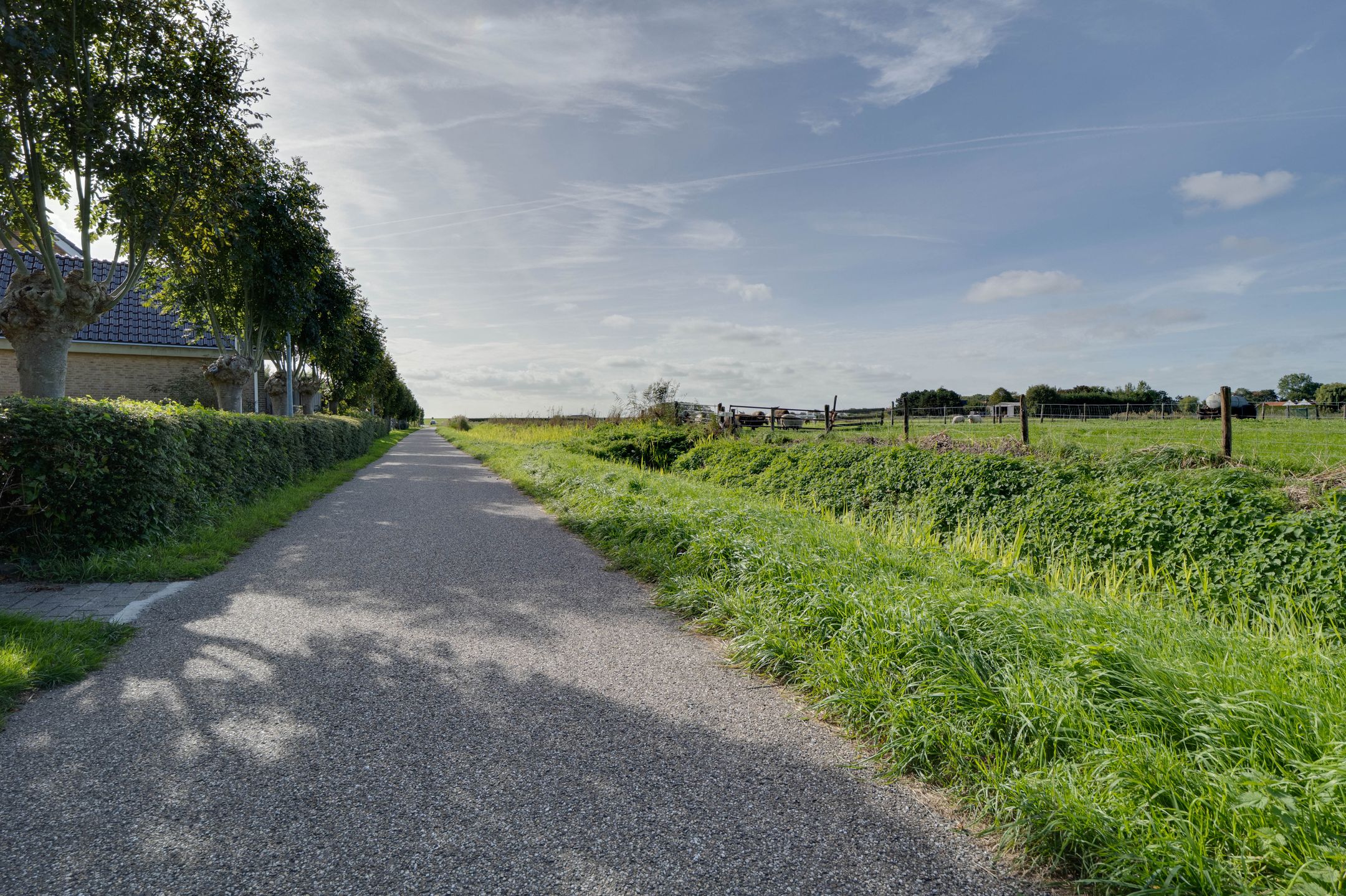 Photo 42 of Oudenhil 14