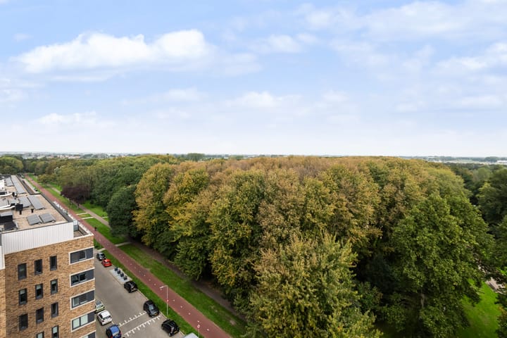 Appartement te koop: Berberisweg 294, Rotterdam