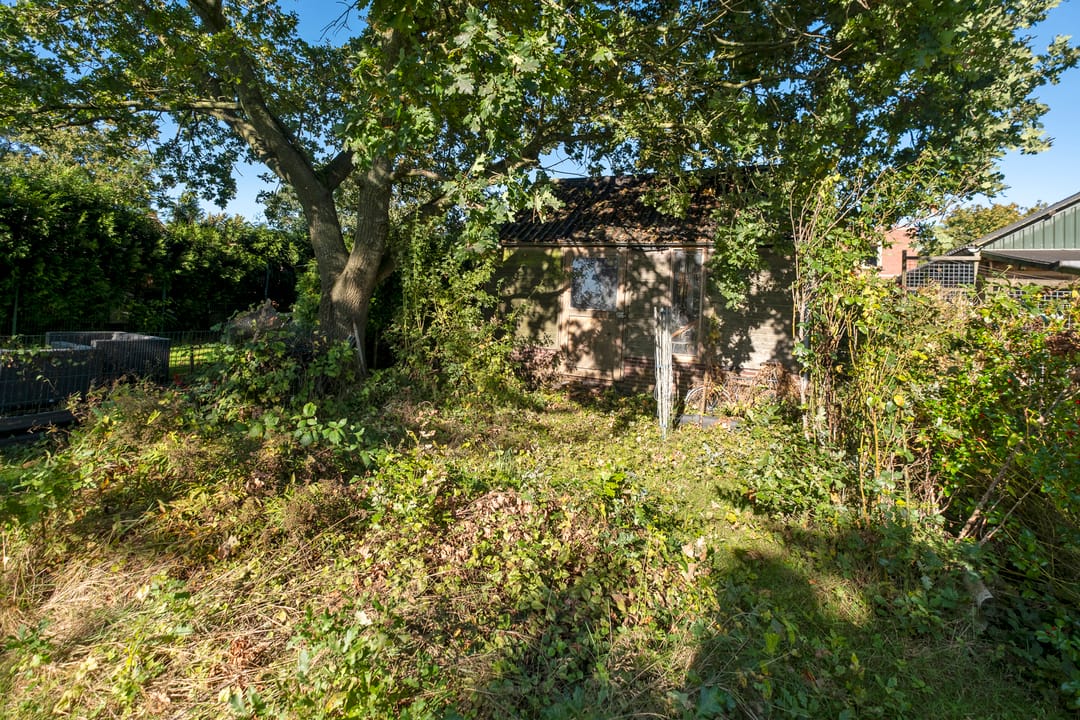 Photo 28 of Borgweg 67