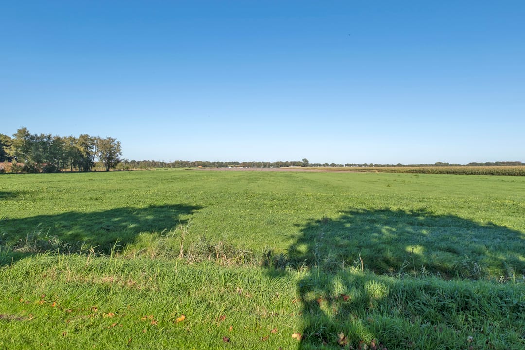 Photo 31 of Borgweg 67