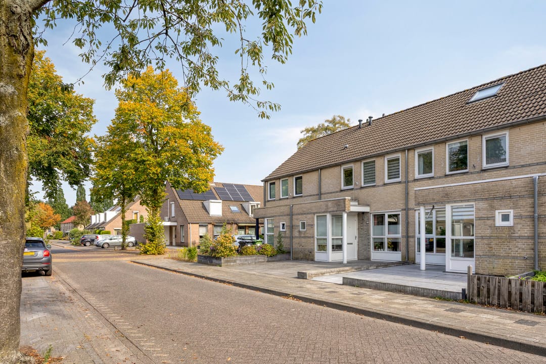 Foto 41 van Boekweit 13