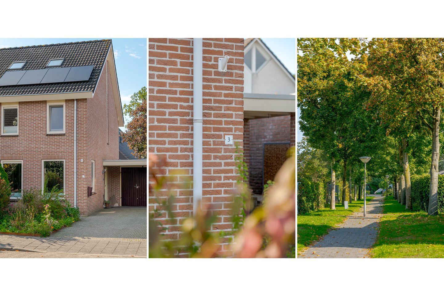 Foto 49 van Eleveldstraat 3