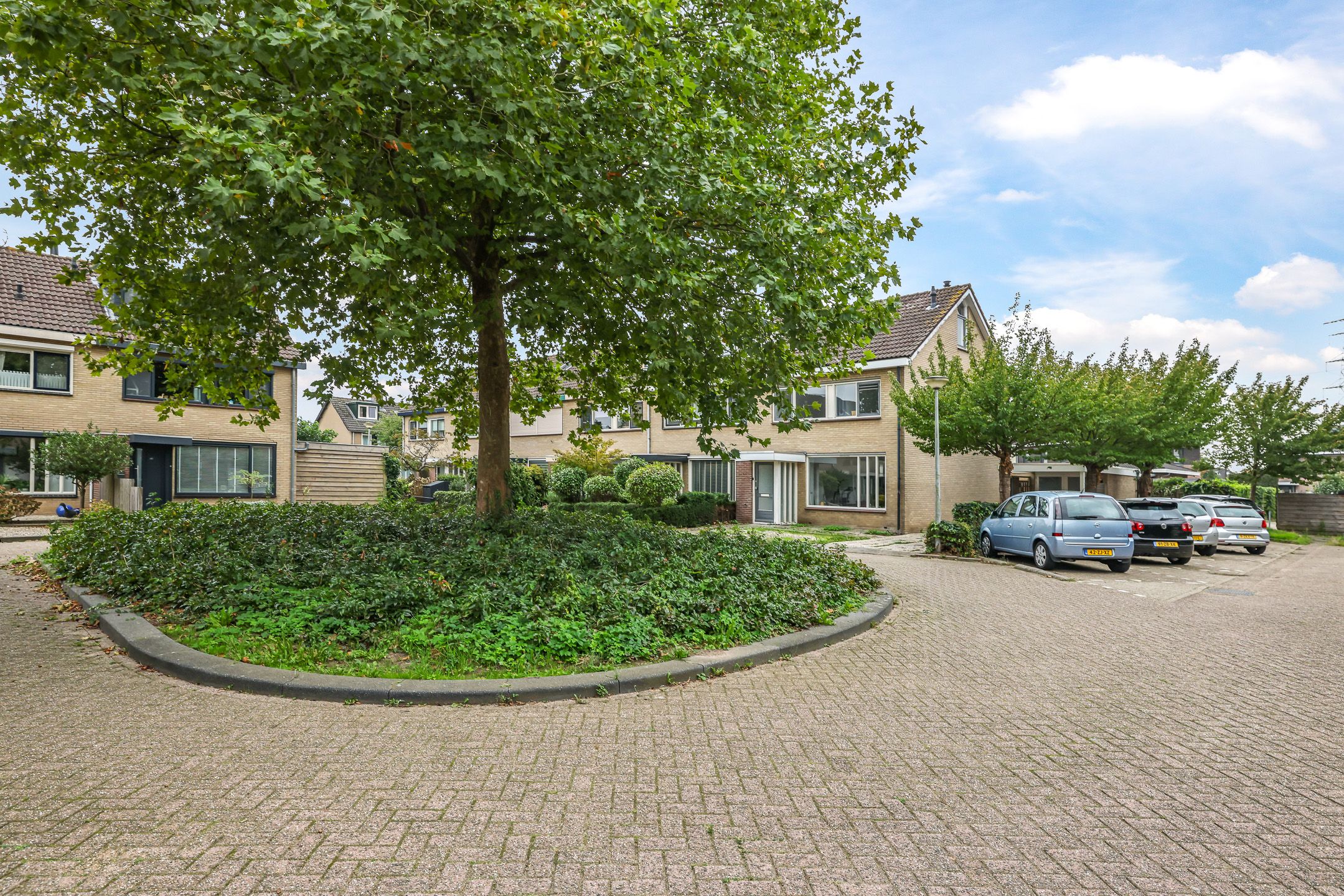 Foto 75 van Henri Dunantplantsoen 8
