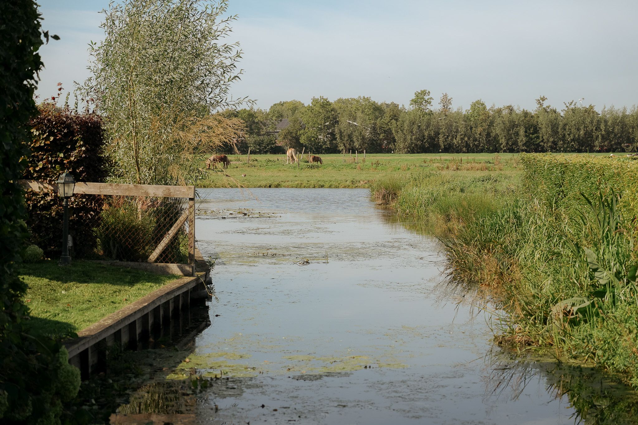 Photo 42 of Slingelandseweg 17-A
