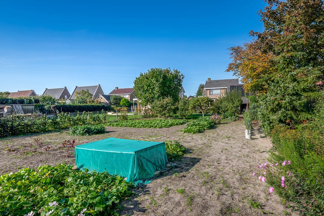 Foto 41 van Wilhelminaweg 10