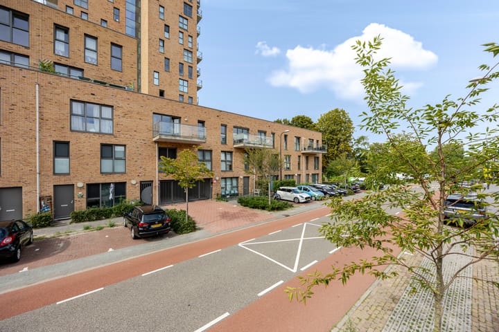 Foto 2 van Treubstraat 10-F004