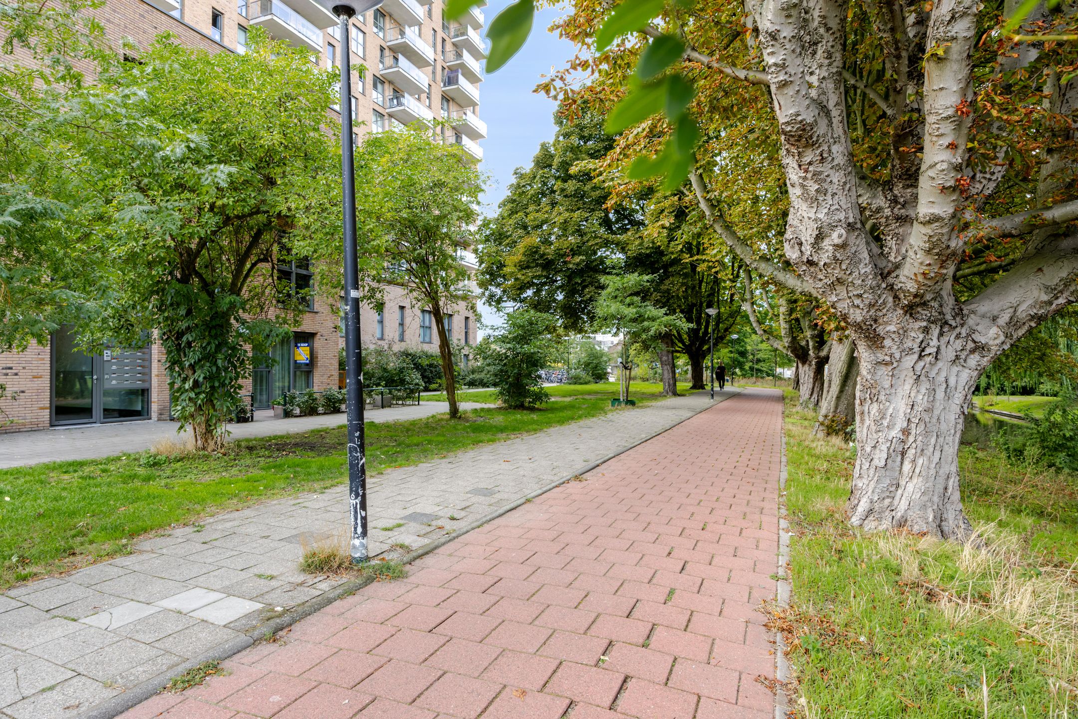 Photo 36 of Treubstraat 10-F004