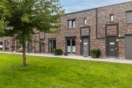 Zeepkruidstraat thumbnail