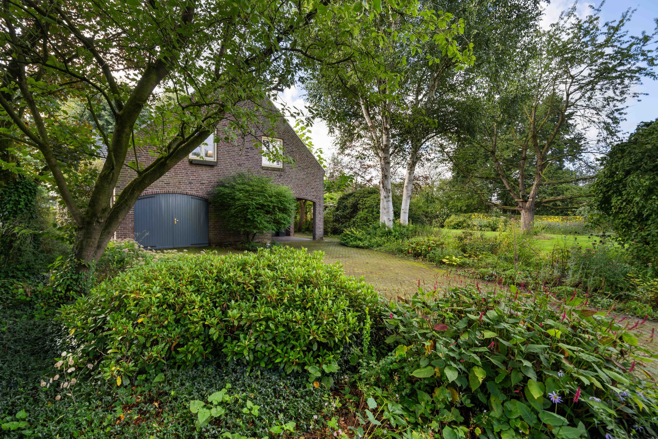 Photo 12 of Hoeven 4