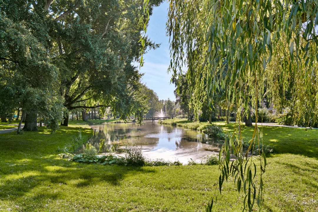 Foto 41 van Goudkruid 189