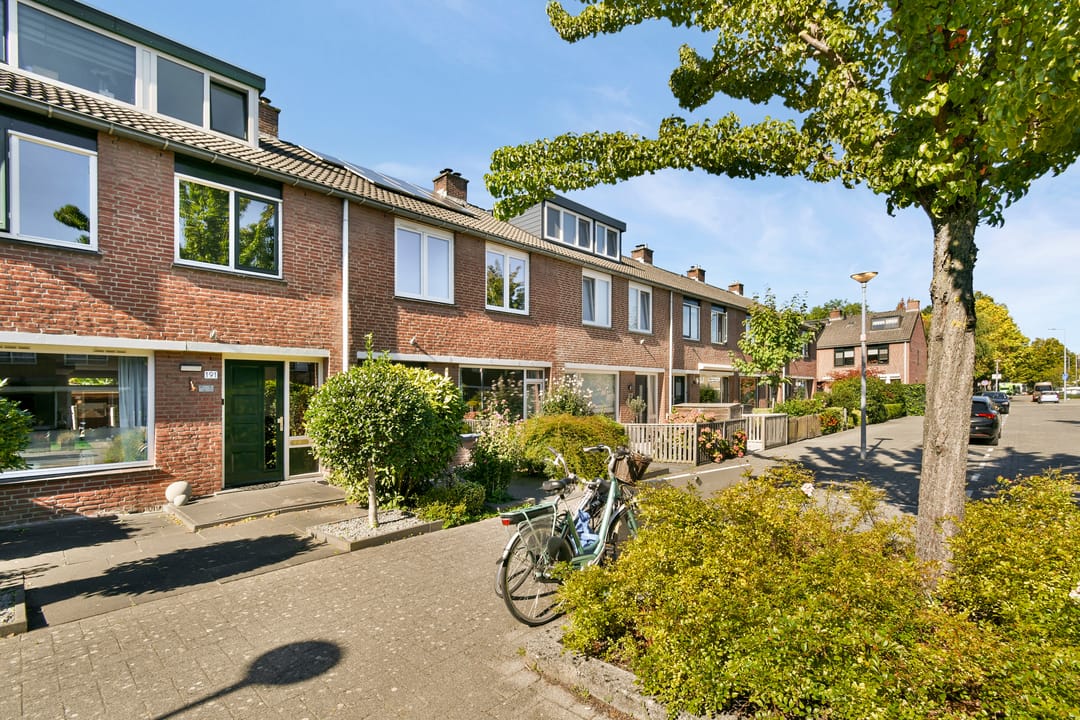 Foto 38 van Goudkruid 189
