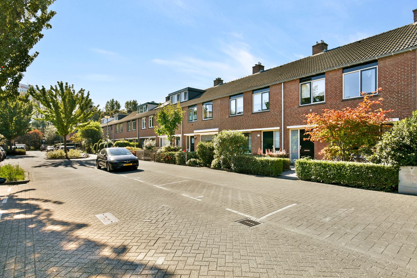 Foto 40 van Goudkruid 189