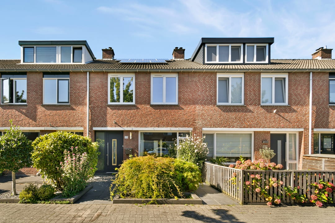Foto 1 van Goudkruid 189