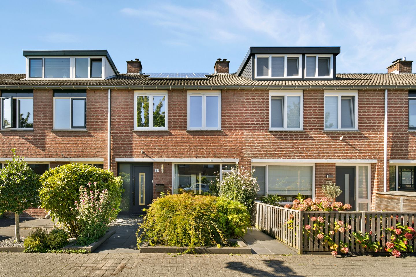 Foto 1 van Goudkruid 189