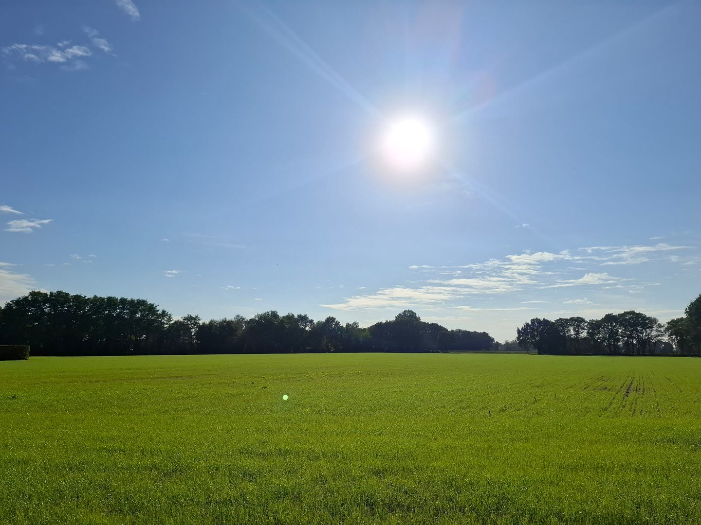 Moerdijkse Postbaan - Etten-Leur - Afbeelding 3