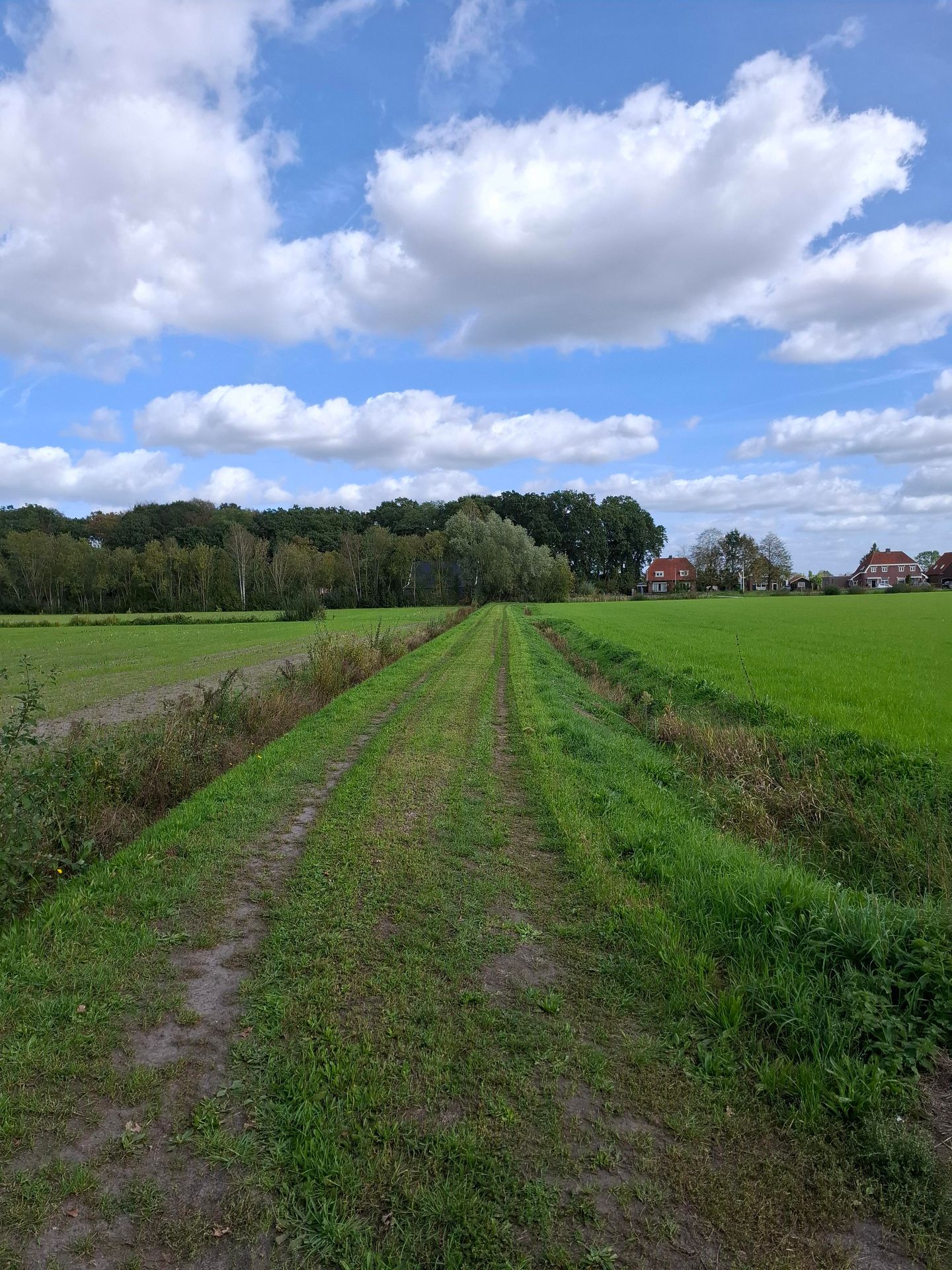 Moerdijkse Postbaan - Etten-Leur - Afbeelding 6