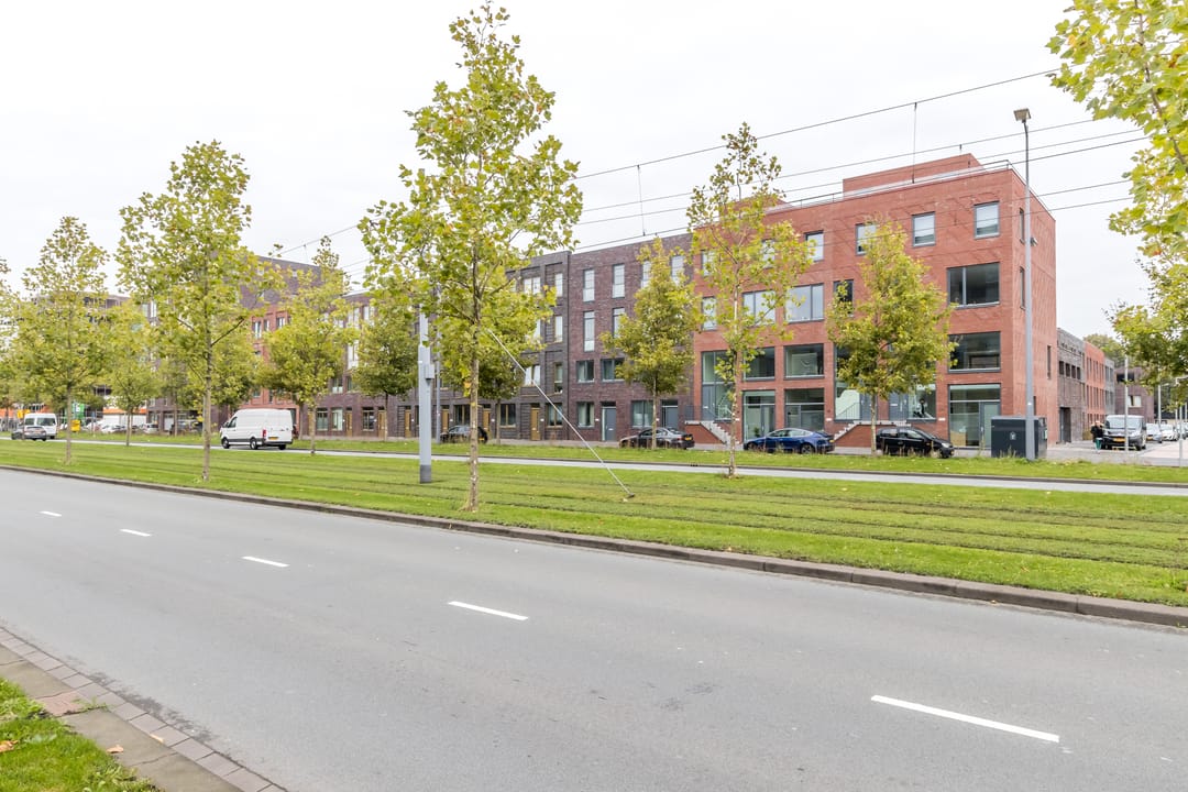 Foto 11 van Laan op Zuid 1544
