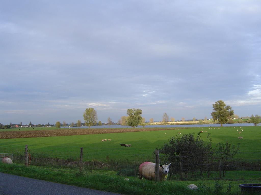 Foto 96 van Greffelingsedijk 5