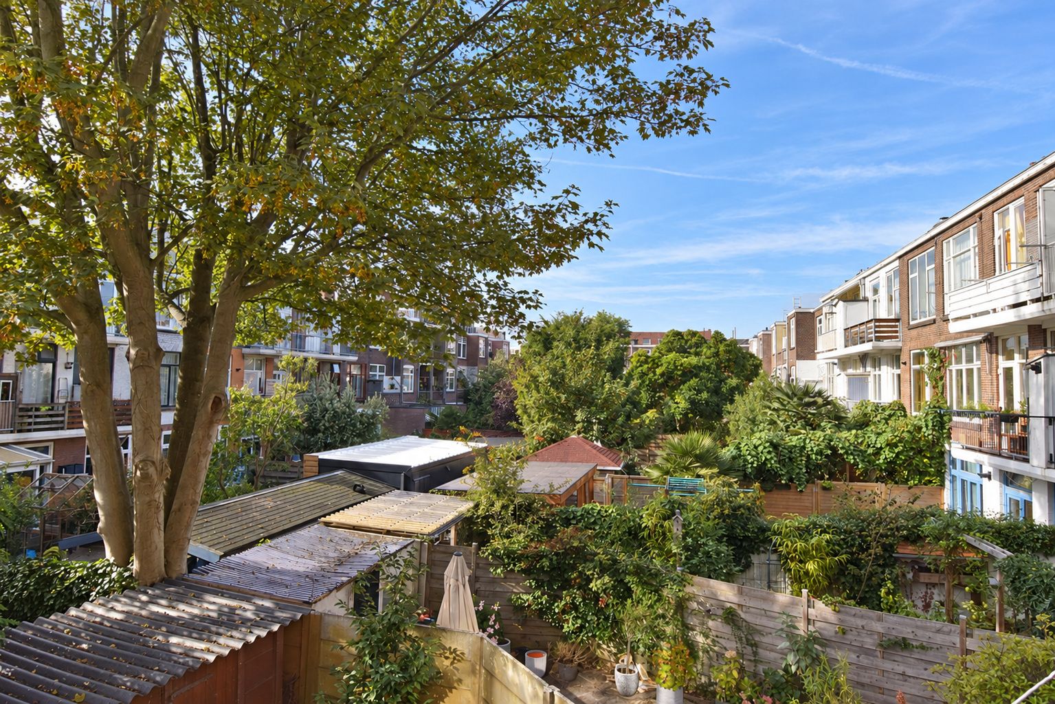 Photo 24 of Beukstraat 40