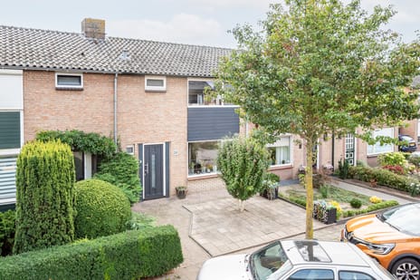 Steenstraat thumbnail