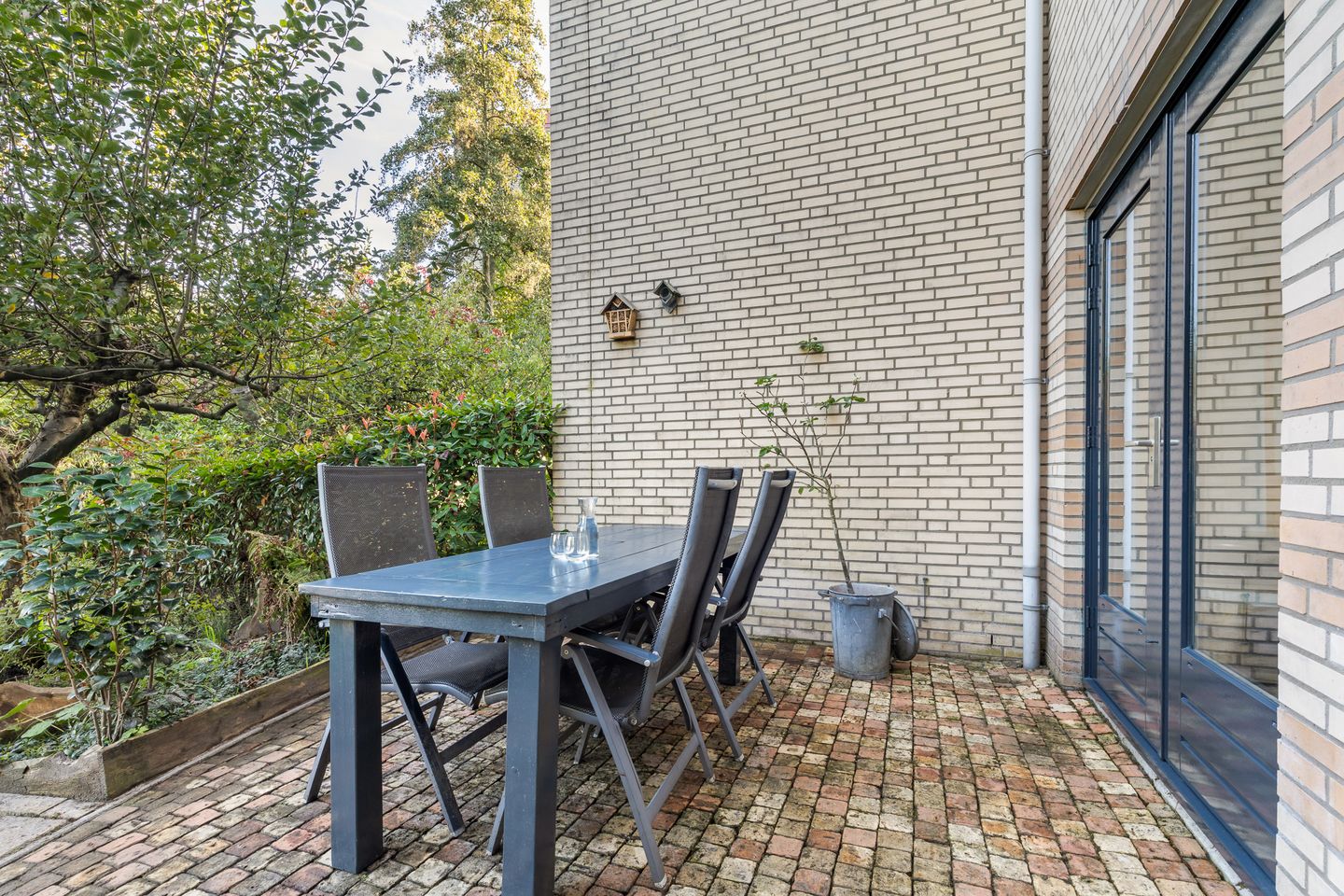 Foto 10 van Blauwoogvlinder 6