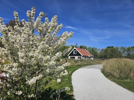 Pelikaanweg thumbnail