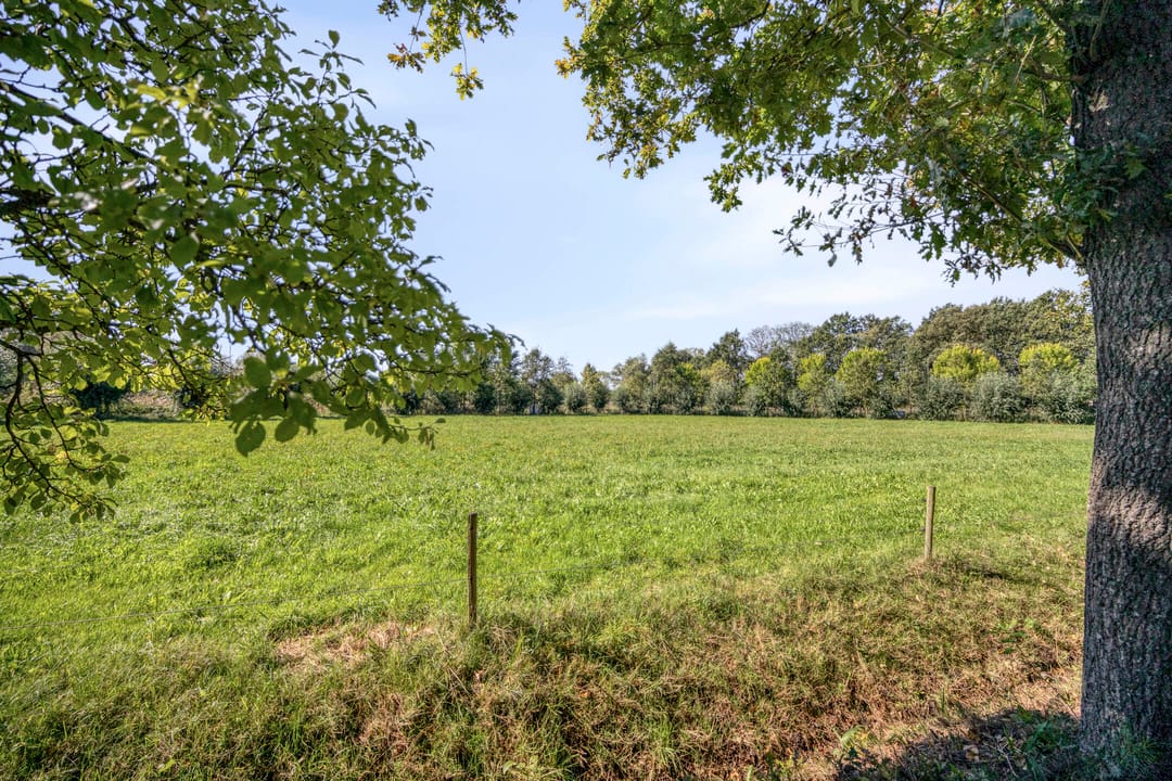 Foto 41 van Heuvel 68