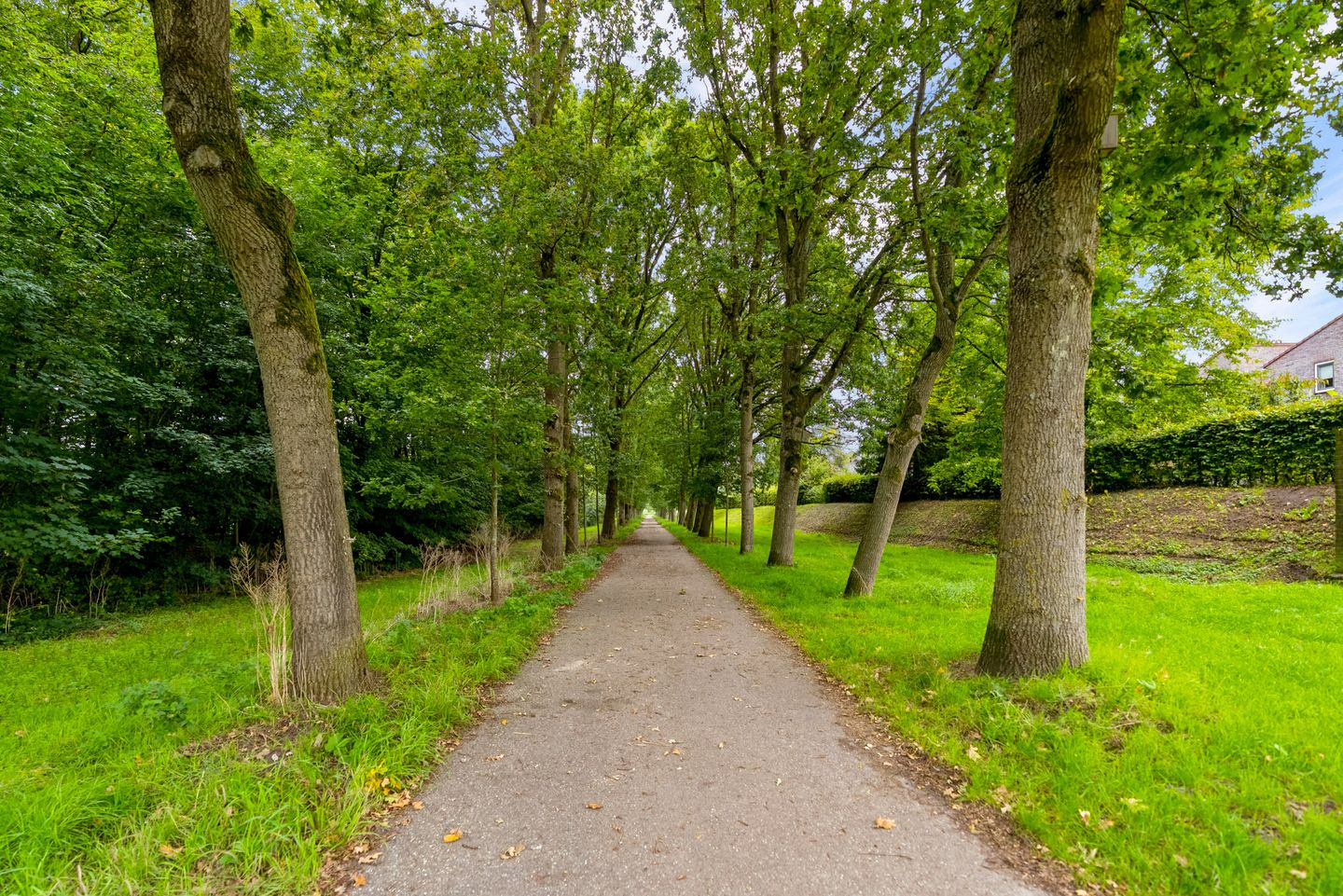 Photo 70 of Woensdagstraat 15
