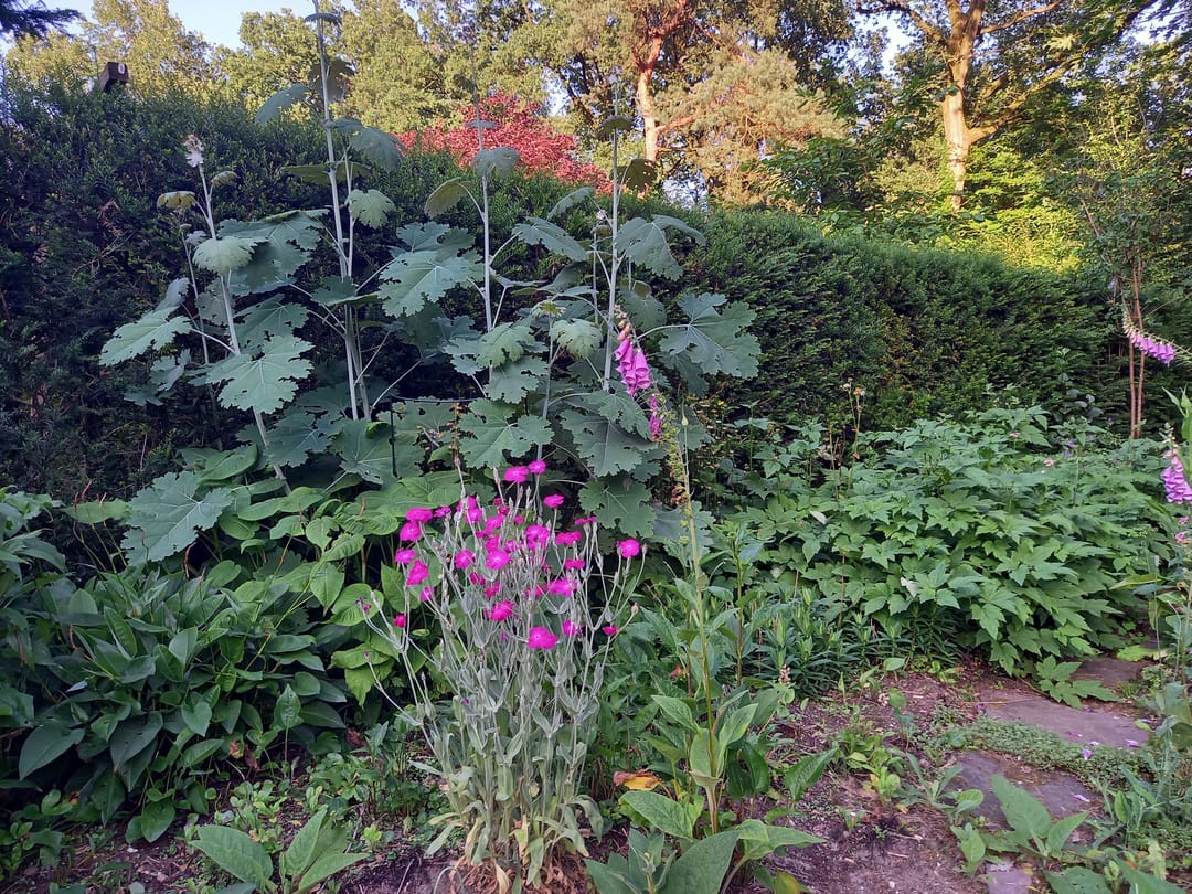 Foto 58 van Laman Trip-plantsoen 18