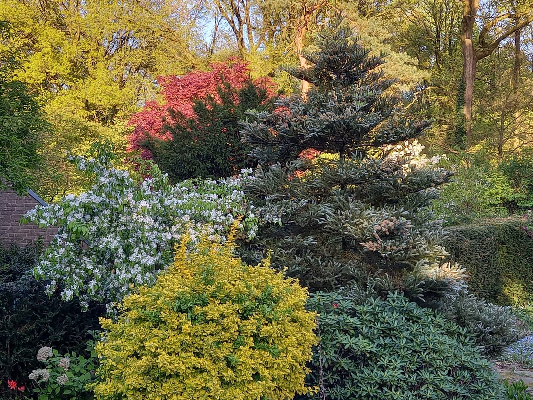 Foto 56 van Laman Trip-plantsoen 18