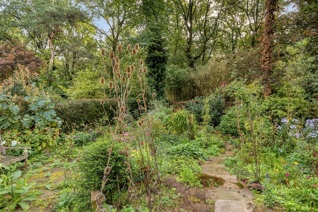 Foto 46 van Laman Trip-plantsoen 18