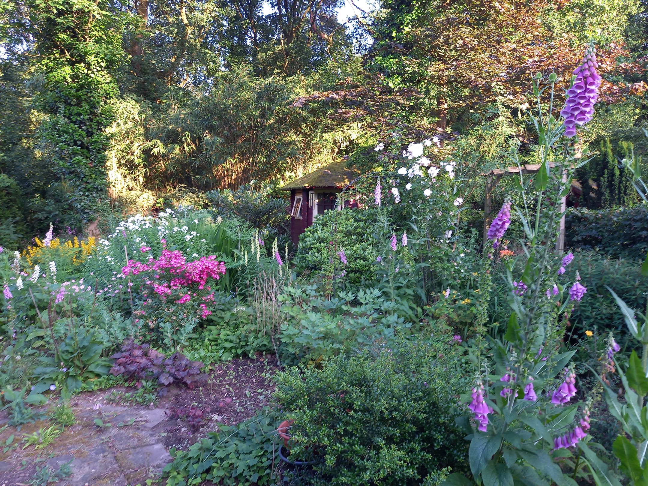 Foto 57 van Laman Trip-plantsoen 18