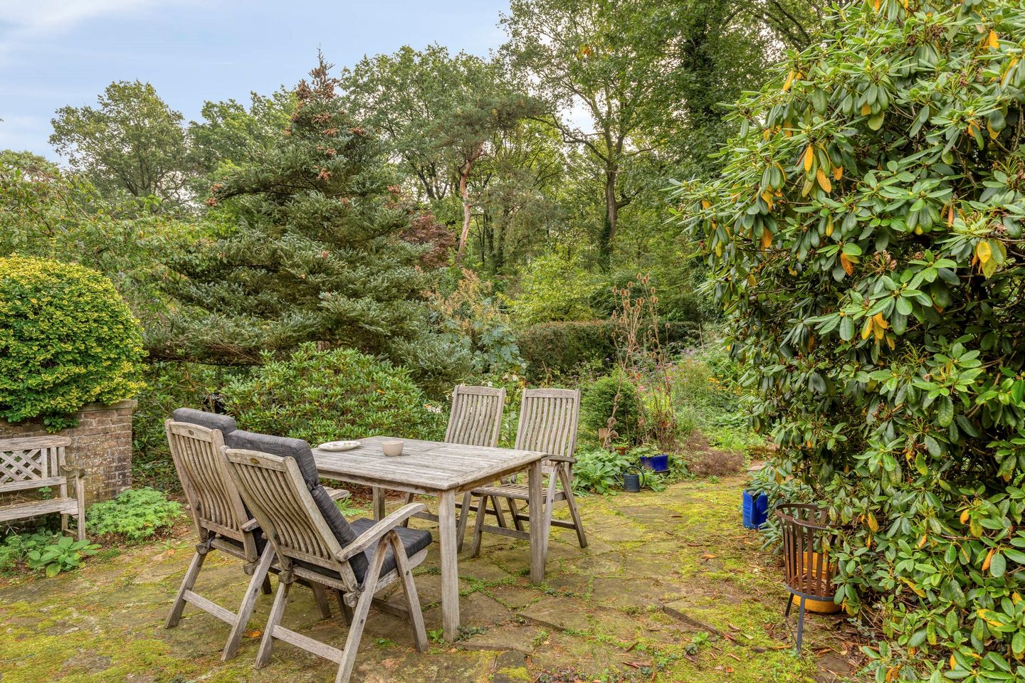 Foto 44 van Laman Trip-plantsoen 18