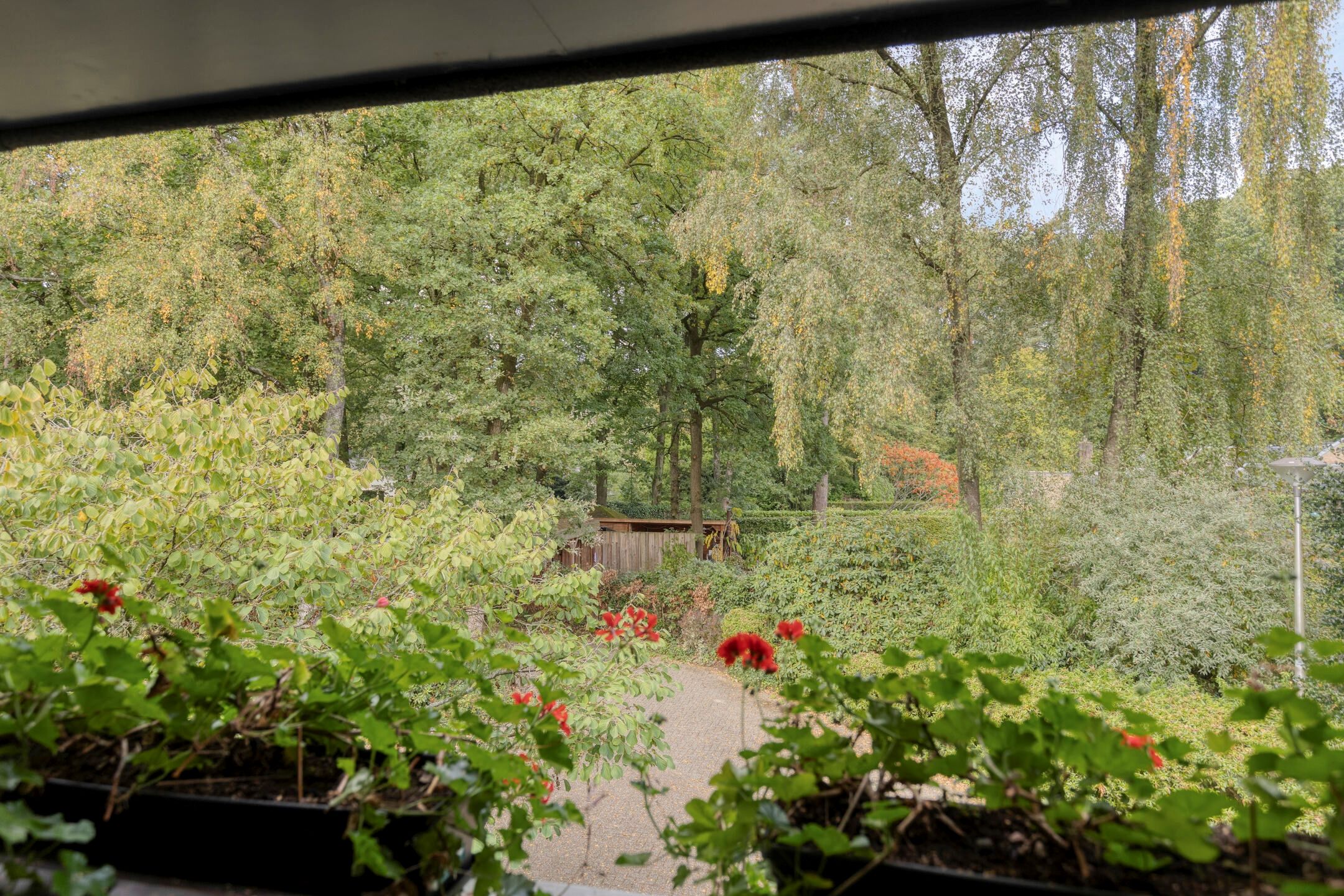 Foto 36 van Laman Trip-plantsoen 18
