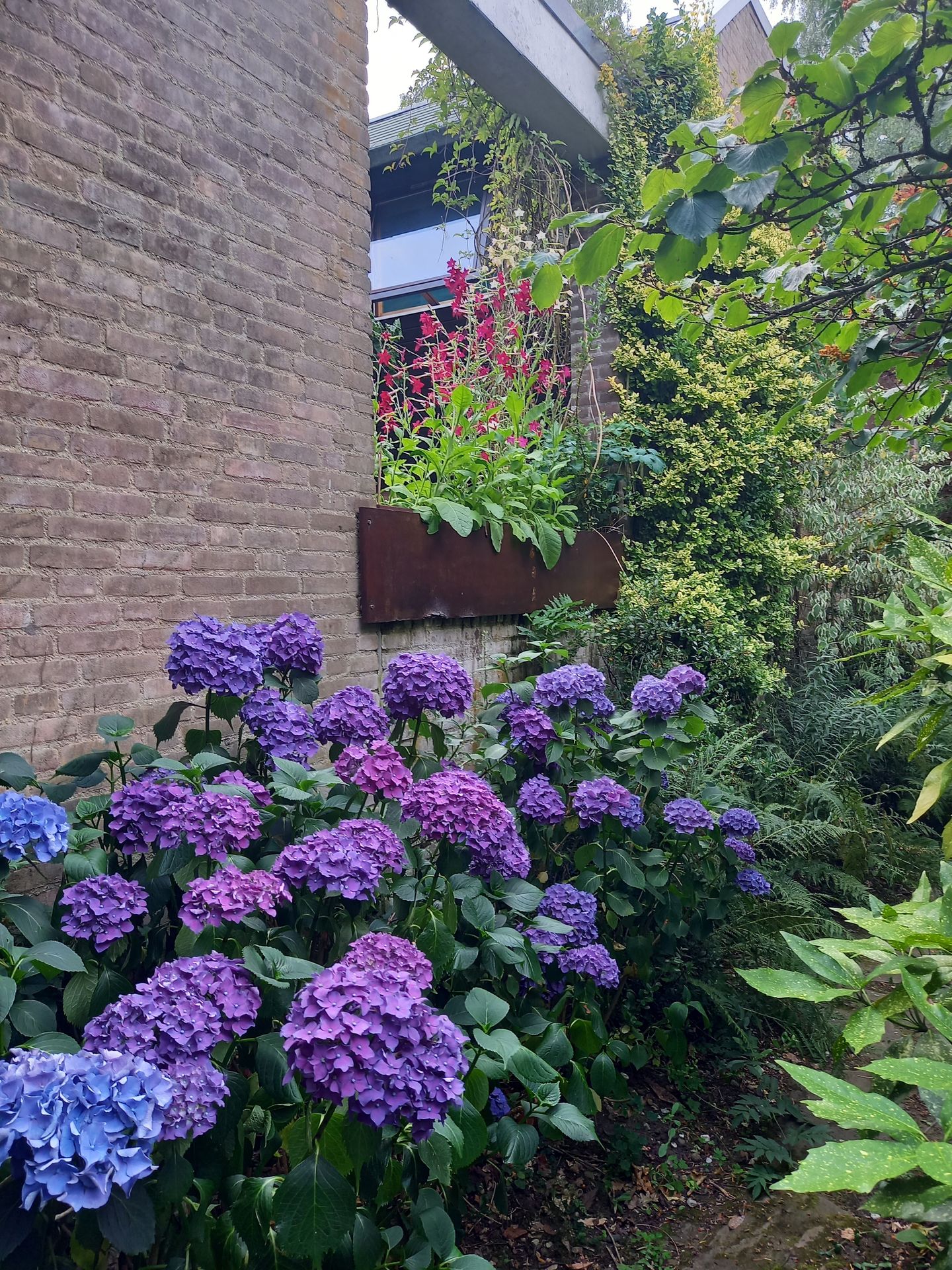 Foto 59 van Laman Trip-plantsoen 18