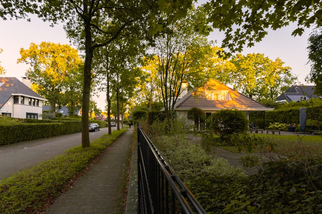 Foto 101 van Zilvermos 2