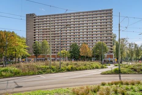 Hendrik Tollensstraat thumbnail