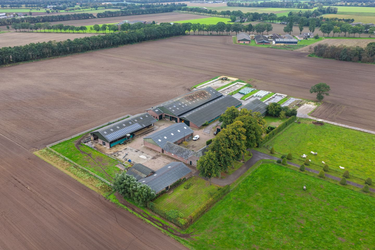 Dintherseweg 59-61 - Loosbroek - Afbeelding 1