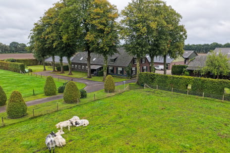Bekijk foto's