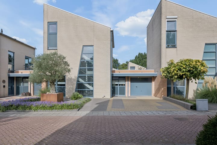 Foto 4 van Berkenzwam 5