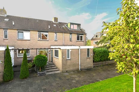 Wethouder van Damlaan thumbnail