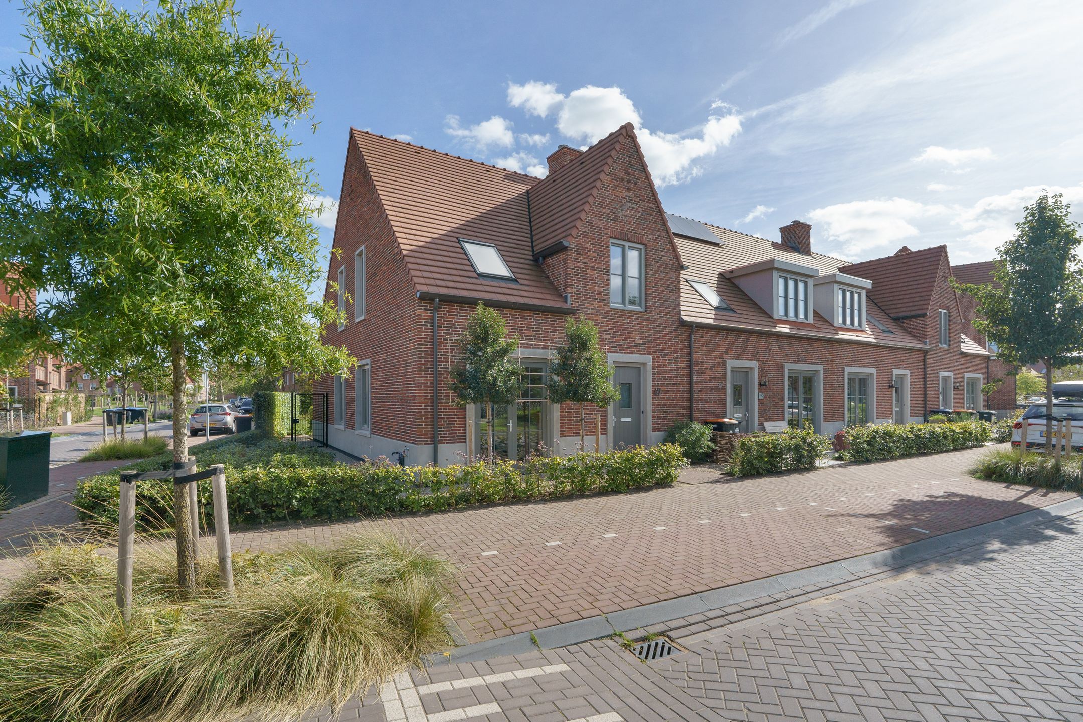 Notenhout 47