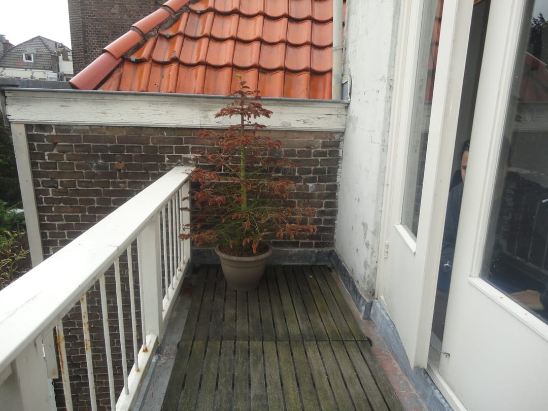 Photo 7 of Tasmanstraat 184