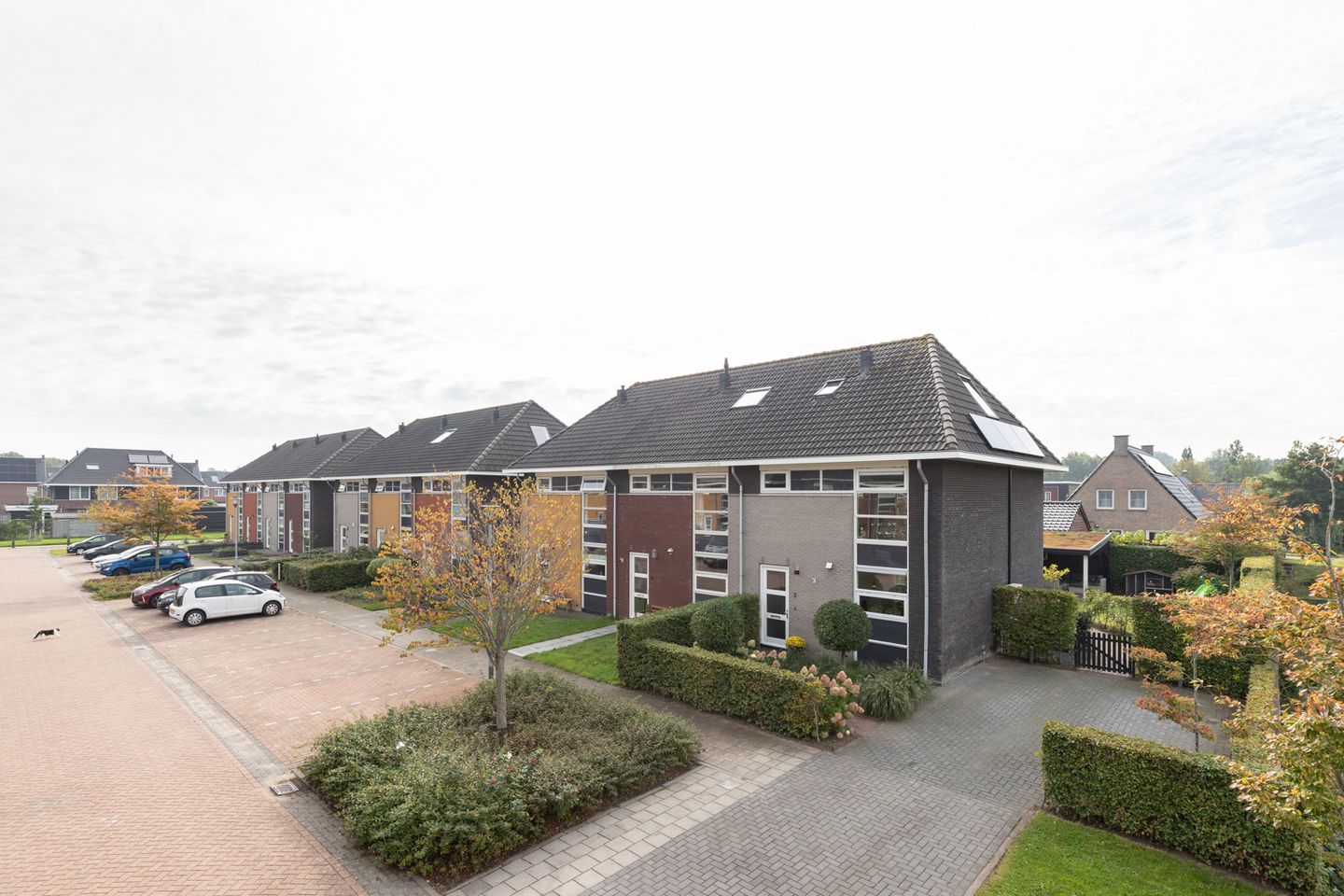 Foto 4 van Katerhals 2