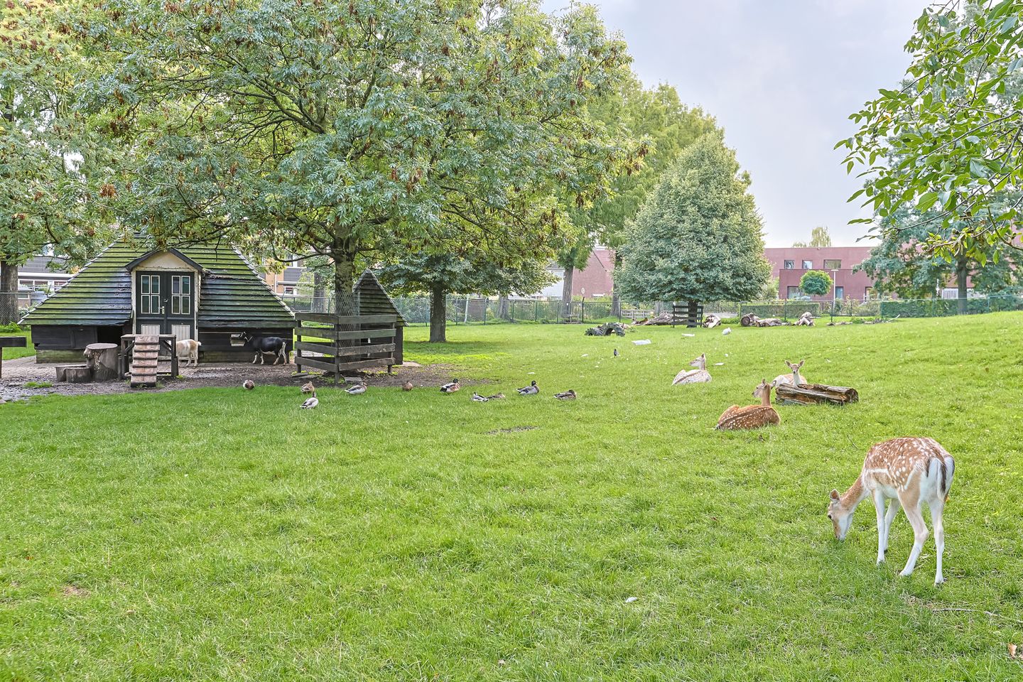 Foto 40 van P.C. van Rijnplantsoen 23