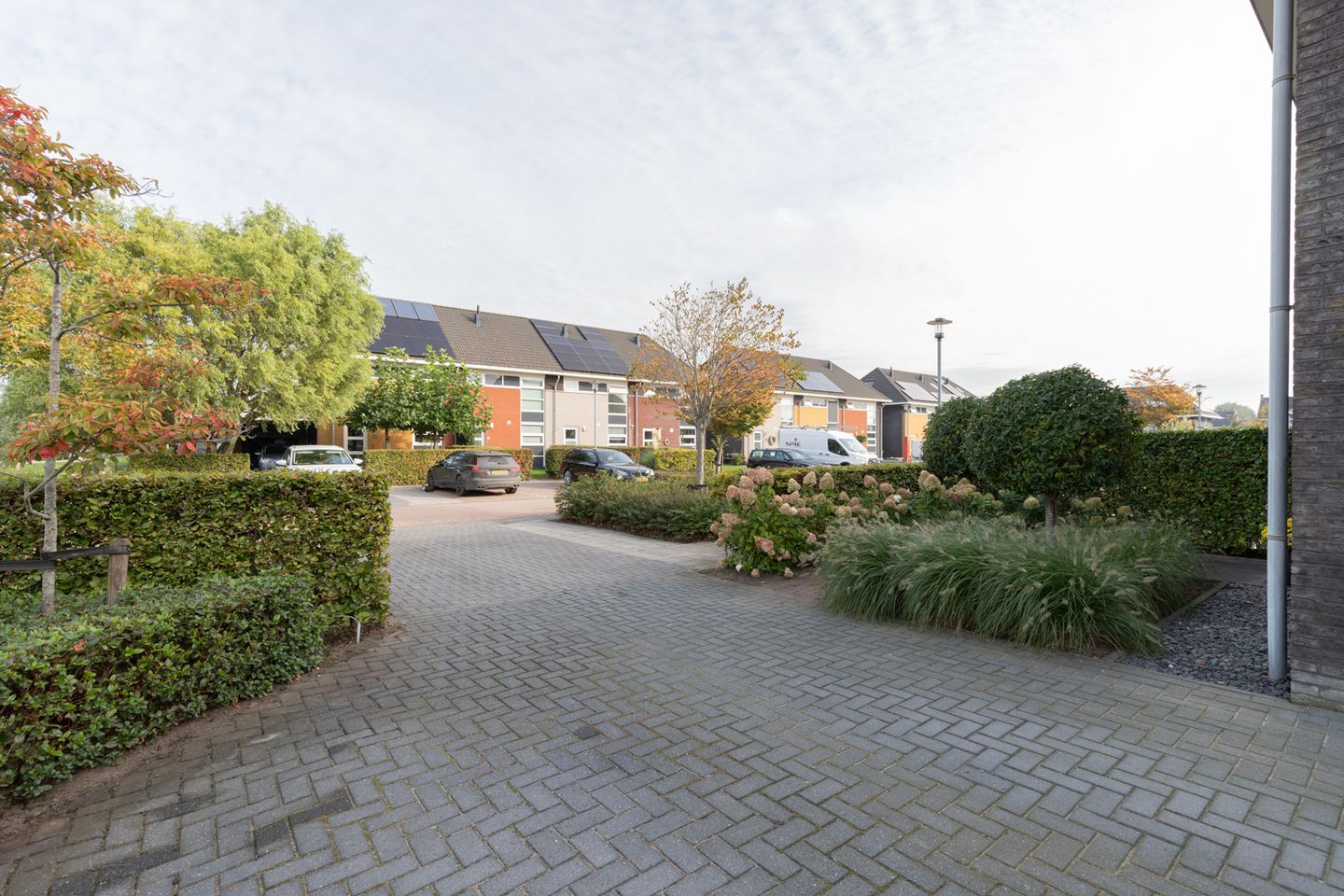 Foto 44 van Katerhals 2