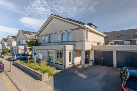 Zwanebloem thumbnail