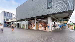Photo 37 of Roodeschoolstraat 22